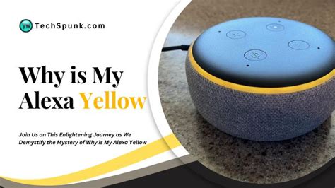 Why Is My Alexa Yellow And Green Easy Figured It Out 2024