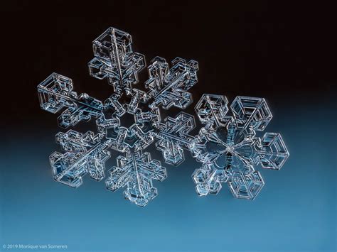 Heres Why No Two Snowflakes Are Alike The Weather Network
