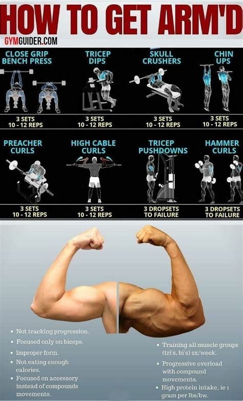 Arm Exercises Gym Workout Chart Gym Workouts Gym Workout For Beginners