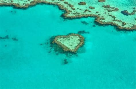 Gran Barrera De Coral Australiana Tercer Episodio Masivo De