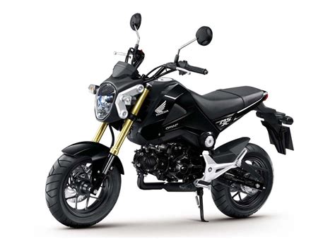 Overview variants specifications gallery compare. 2014 Honda Grom Price Announced in Canada - autoevolution