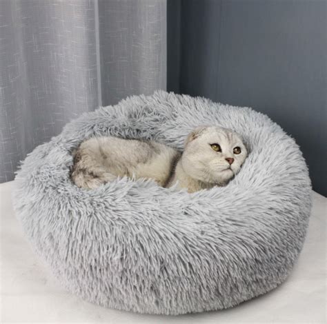 The plush beds are no doubt very comfortable for your kitty and some come large enough for your pooch to lay on with your kitty. Marshmallow Cat Bed - Soft, Comfy and Fluffy! - Sugar Pet Shop