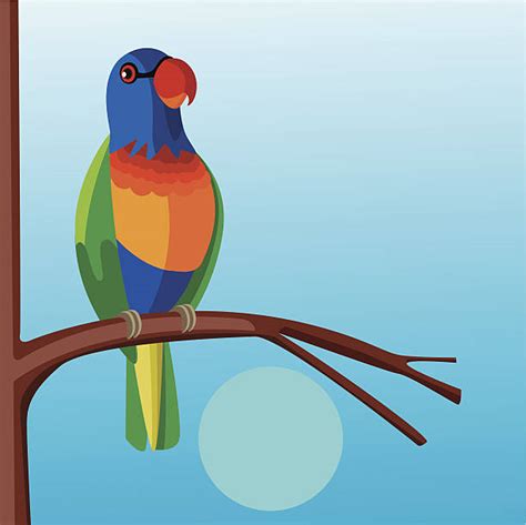 Blue Lorikeet Illustrations Royalty Free Vector Graphics And Clip Art