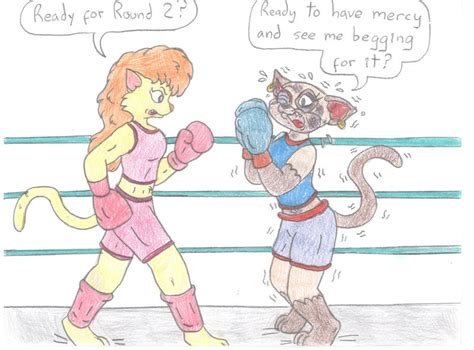 Boxing Catfight By Jose Ramiro On Deviantart