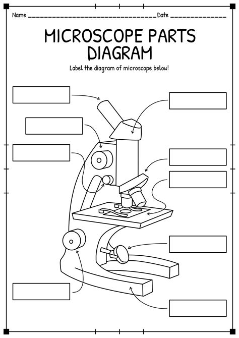 Label Parts Of A Microscope Worksheet