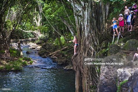 Woman Swinging On Rope At Kipu Falls High Res Stock Photo Getty Images