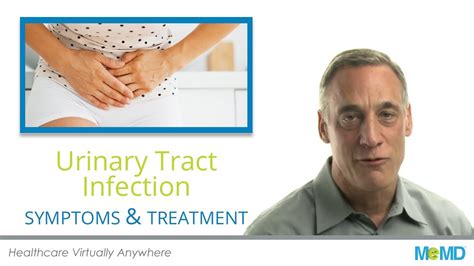 Urinary Tract Infections Symptoms Information And Resources Memd