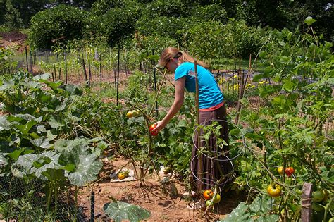 Maybe you would like to learn more about one of these? Scenic Resort - mobile home park in Asheville, NC 476748