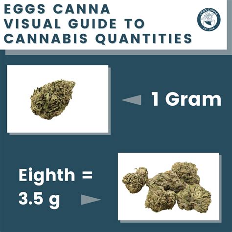 Visual Guide To Cannabis Quantities Eggs Canna