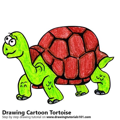 How To Draw A Cartoon Tortoise Cartoon Animals Step By Step