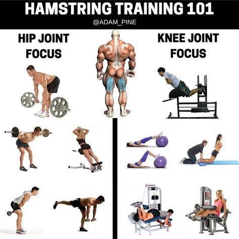 Hamstrings Workout Improve Hamstring Strength And Definition