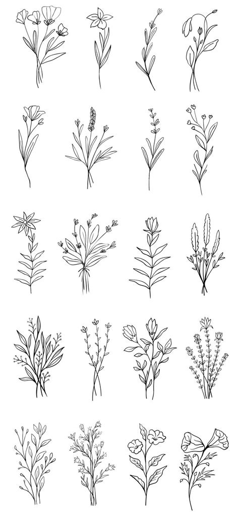 Download Wildflower Vector Illustrations | Floral drawing, Flower ...