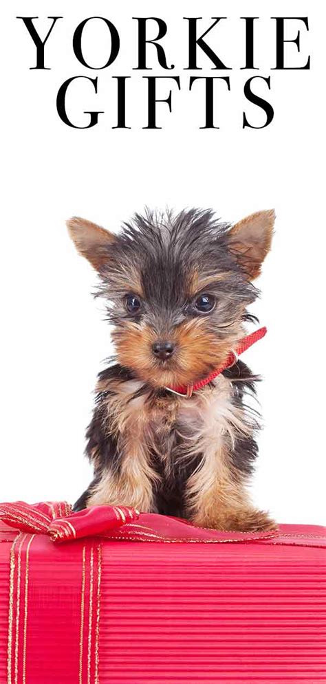 Yorkie Ts Top Presents For Yorkshire Terrier Lovers