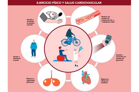 Luchar Contra El Sedentarismo Como Factor De Riesgo Cardiovascular Im Médico