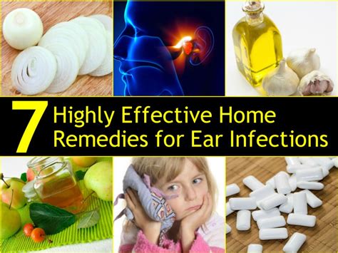 7 Highly Effective Home Remedies For Ear Infections How To Instructions