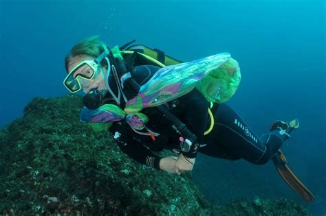Best Spot Azores Padi 5 Dive Center Padi Women Day Scuba Diving Azores
