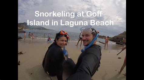 Snorkeling At Goff Island In Laguna Beach Youtube