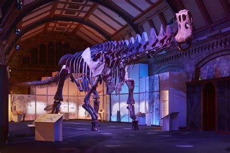 Titanosaur Stomps Into Natural History Museum Londonist