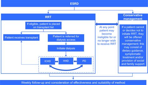 Treatment Algorithm For Esrd Management Esrd End Stage Renal Disease