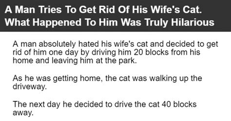a man tries to get rid of his wife s cat what happened to him was truly hilarious