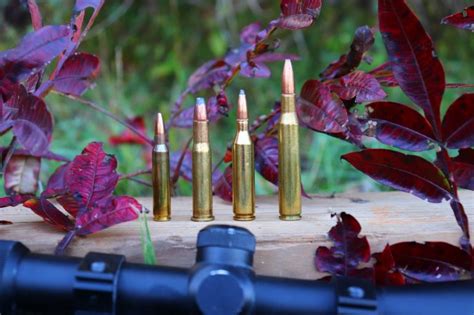 Make Your Shot Count Rifle Calibers For Deer Hunting Success Great