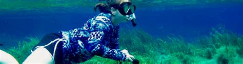 Ncbs Intern Report Big Bend Seagrass And Water Quality Monitoring