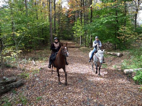 trail riding, Brookfield, NY | Trail riding, Riding, Horses