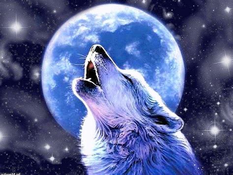 Wolf Howling At The Moon Wallpapers Free Download