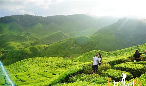 Munnar And Other Places To Explore In Kerala Etravelfly