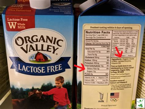 Lactose Free Milk Still Contains Lots Of Lactose Healthy Home Economist