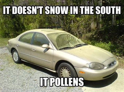 It Doesnt Snow In The South It Pollens Southern Humor Southern