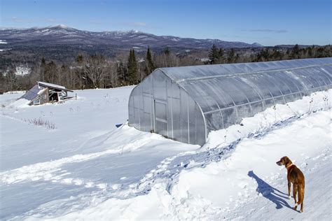 Winterizing The Farm High Mowing Organic Non Gmo Seeds