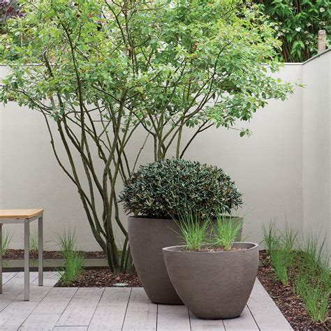 Coral bells plant coral bells heuchera bell gardens light pink flowers pink leaves cut flowers monrovia plants border plants plant catalogs. Atelier Vierkant | Plantcontainers | Pinterest | Small ...