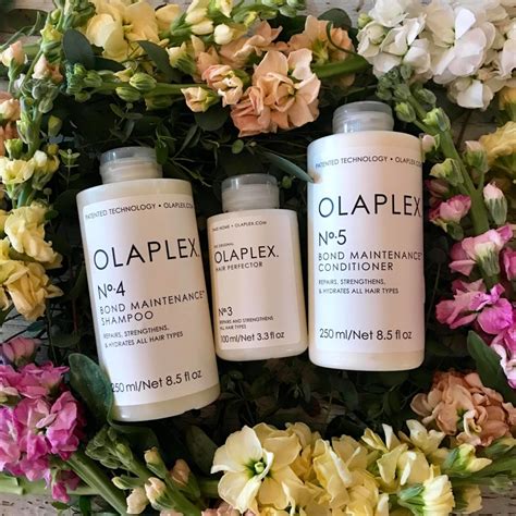 Olaplex No3 And No4 Shampoo And Olaplex No5 Conditioner The Nest Hair