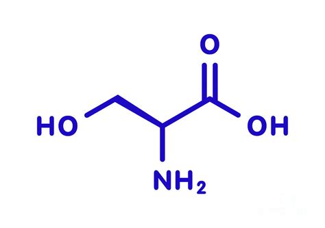 Serine Amino Acid Molecule Photograph By Molekuulscience Photo Library
