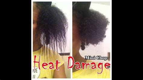 We did not find results for: Natural Hair: Mini Chop + Pics(Heat Damage) - YouTube