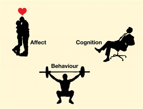 Affect Behavior And Cognition Principles Of Social Psychology
