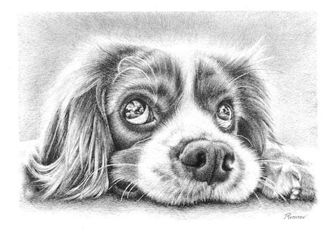 We did not find results for: Photorealistic Pencil Drawings of Animals - Remrov's Artwork