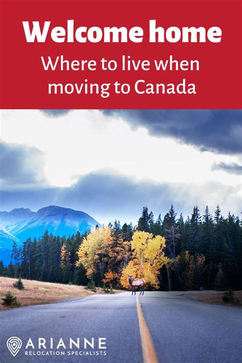 Where To Live When Moving To Canada Arianne Relocation Specialists