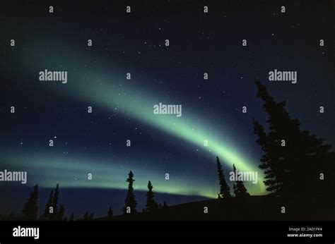 Northern Lights At Night Sky Denali National Park Alaska Stock