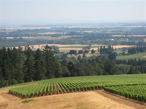 Willamette Valley Wineries Willamette Valley Wineries Oregon