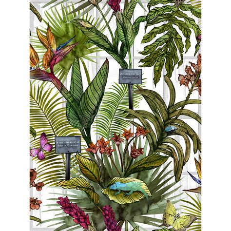 Glasshouse Tropical Botanical Print Wallpaper By Terrarium Designs