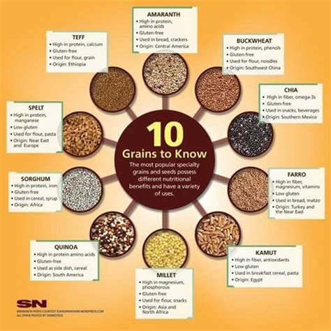 Edible Seeds Healthy Grains Vegan Nutrition Nutrition