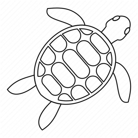 Animal Line Outline Sea Thin Turtle White Icon Download On