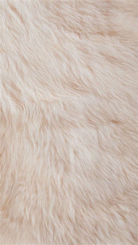 Fur Wallpapers Top Free Fur Backgrounds Wallpaperaccess