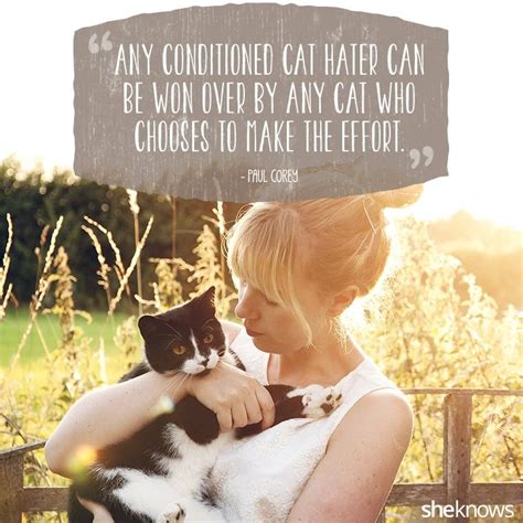 50 Cat Quotes That Only Feline Lovers Would Understand In 2022 Cat