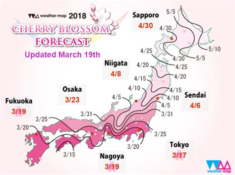Revised Full Bloom Cherry Blossom Forecasts Released For Every