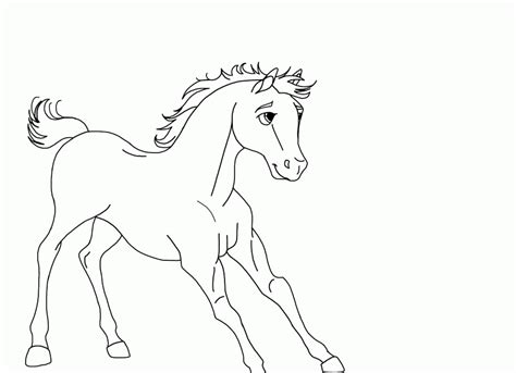 Spirit And Rain Stallion Of The Cimarron Coloring Pages
