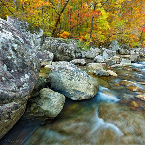 Richland Creek In Autumn121814 Featured Arkansas Landscape