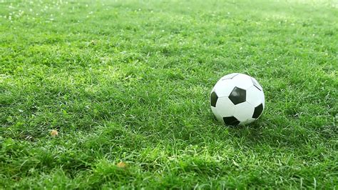 Soccer Ball On The Grass Of Football Field Stock Footage Youtube